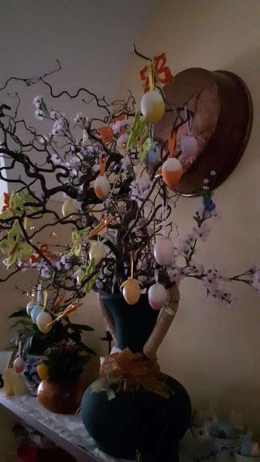 Hotel Trattoria Bar Pace Re Zewnętrze zdjęcie